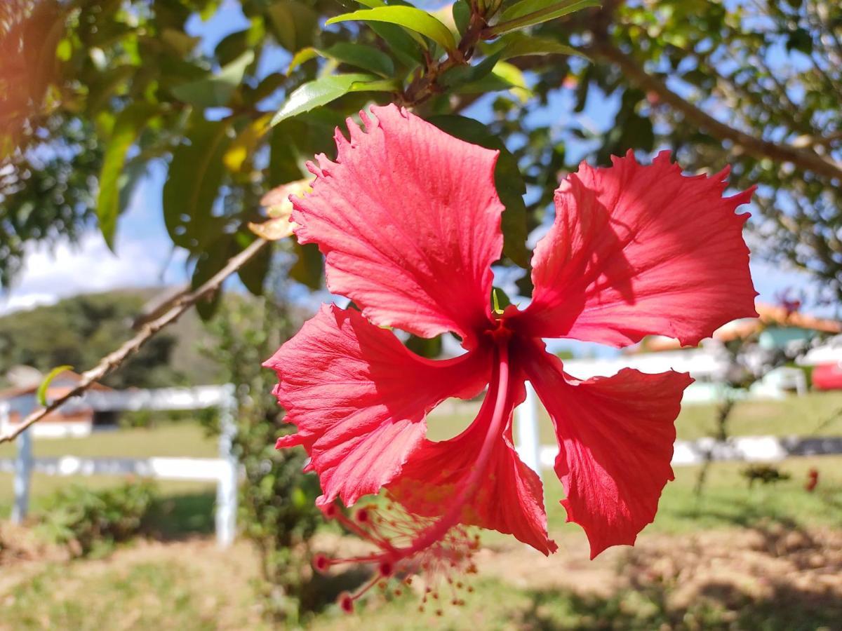 Recanto Jf Da Serra São Tomé das Letras Buitenkant foto